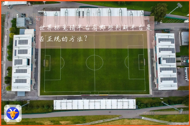 世界杯竞猜平台有哪些判断平台是否正规的方法?
