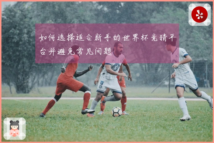 如何选择适合新手的世界杯竞猜平台并避免常见问题